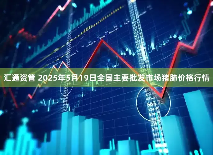 汇通资管 2025年5月19日全国主要批发市场猪肺价格行情