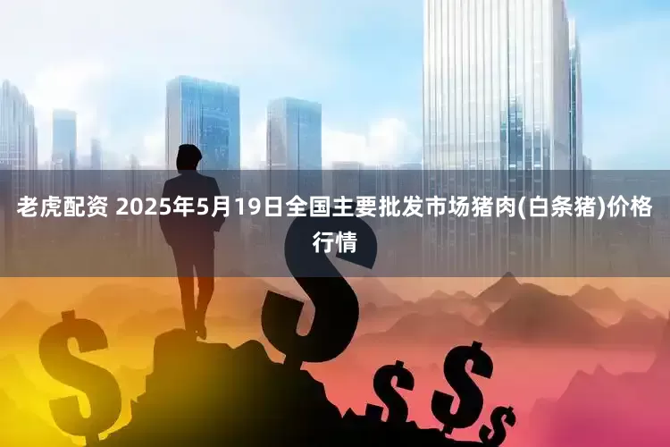 老虎配资 2025年5月19日全国主要批发市场猪肉(白条猪)价格行情
