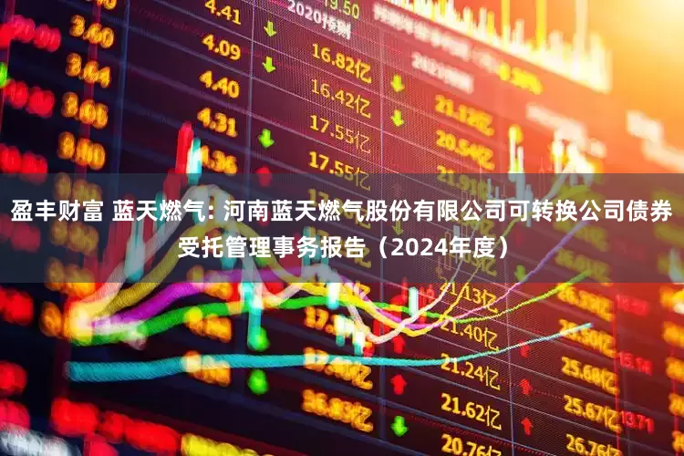 盈丰财富 蓝天燃气: 河南蓝天燃气股份有限公司可转换公司债券受托管理事务报告(2024年度)