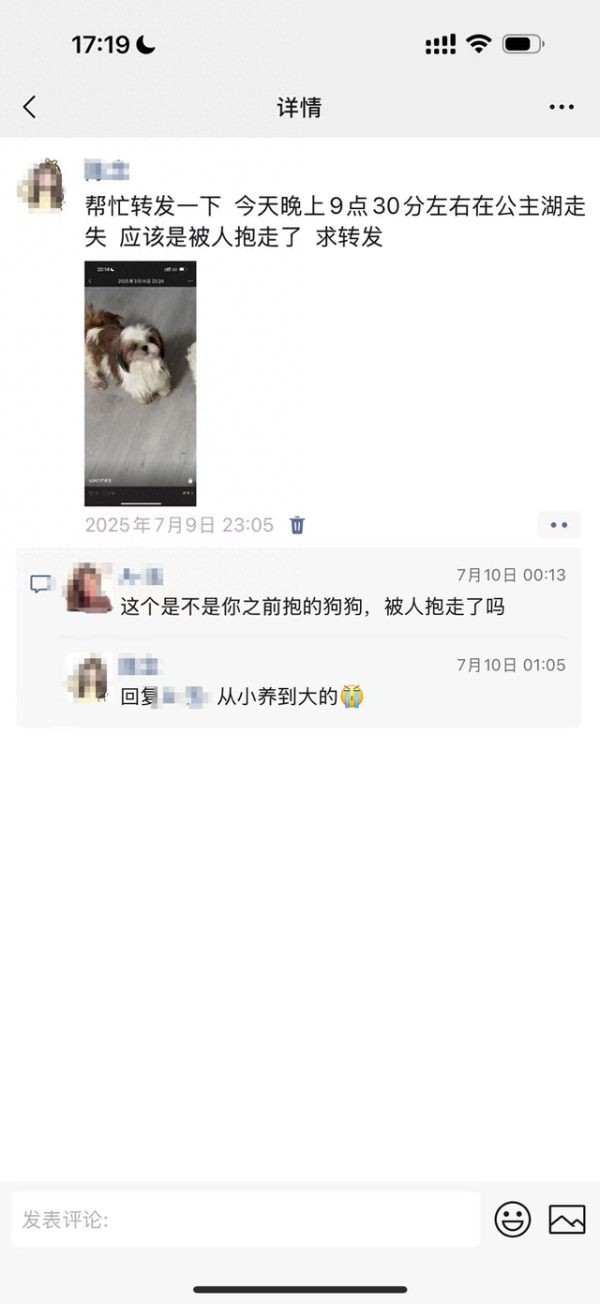 垒富配资 花万元买的西施犬晚上遛弯被人抱走，女子疑惑为啥不立案？律师：警方应依法履行调查职责