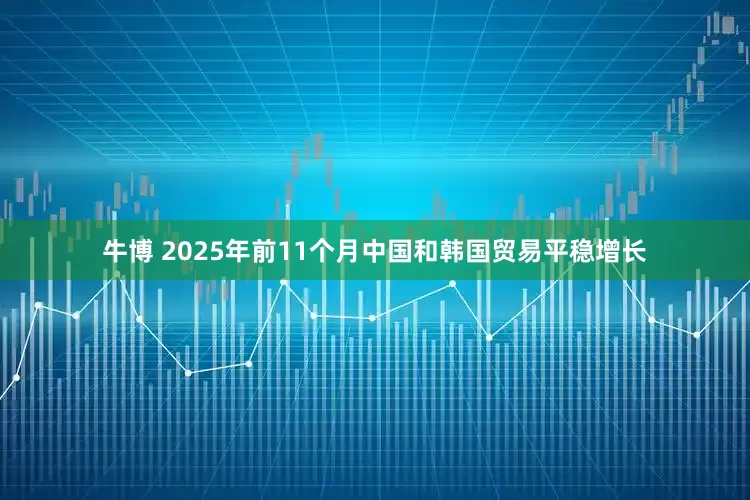 牛博 2025年前11个月中国和韩国贸易平稳增长